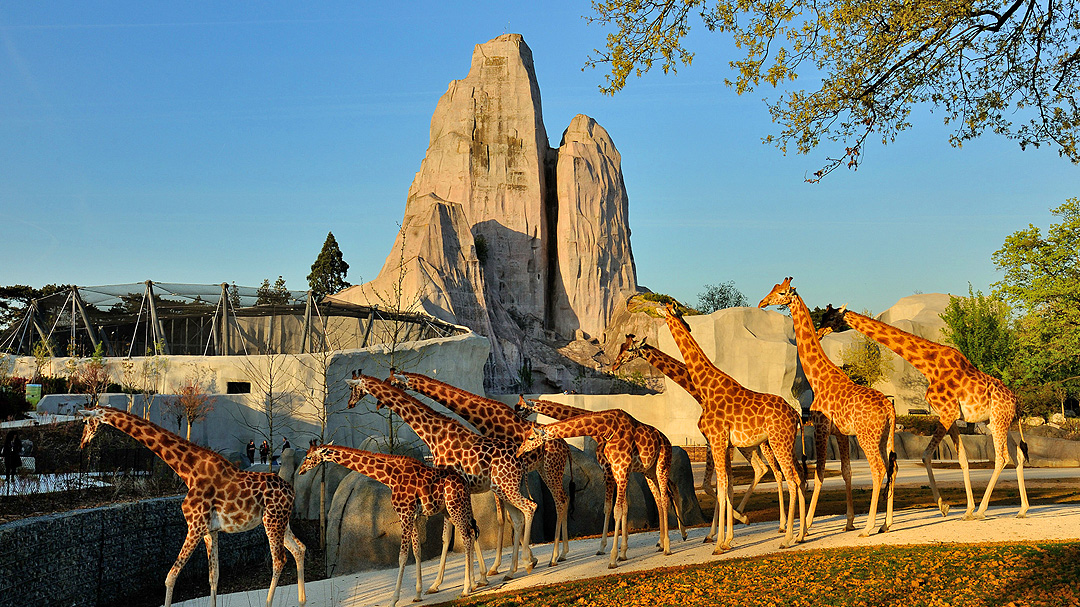 Zoo de Vincennes